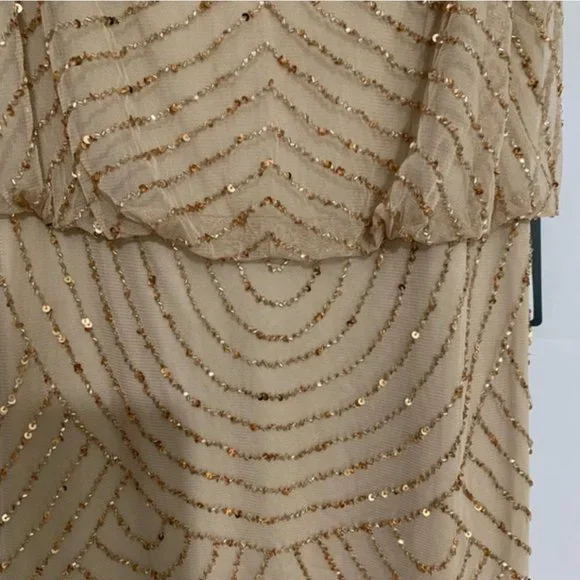 NEW Adrianna Papell Sequin Mesh Blouson Dress in Champagne Gold [SZ 0 ] is  available for purchase on au PAY Market - Imported Goods Online Store  Co.Ltd. | au PAY Market - Online Shopping Site